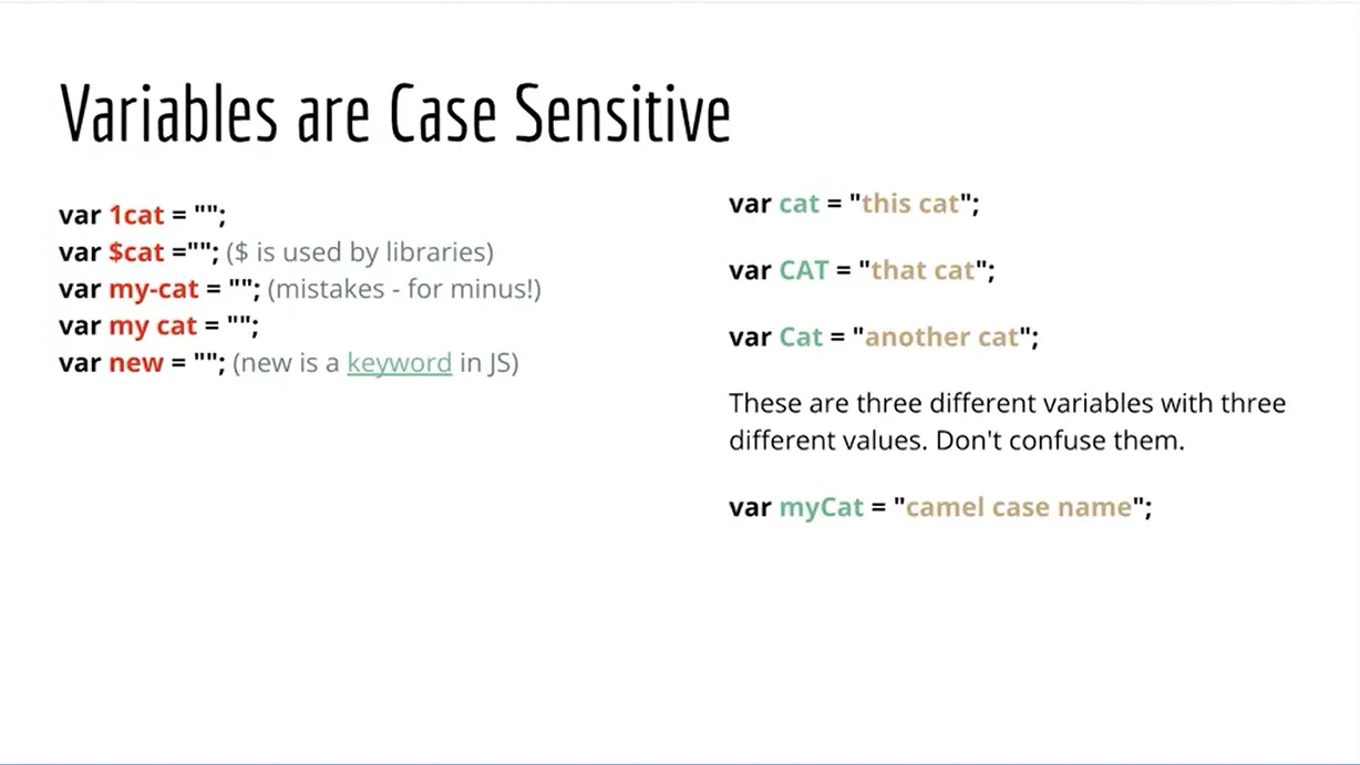 Variable rules and examples.