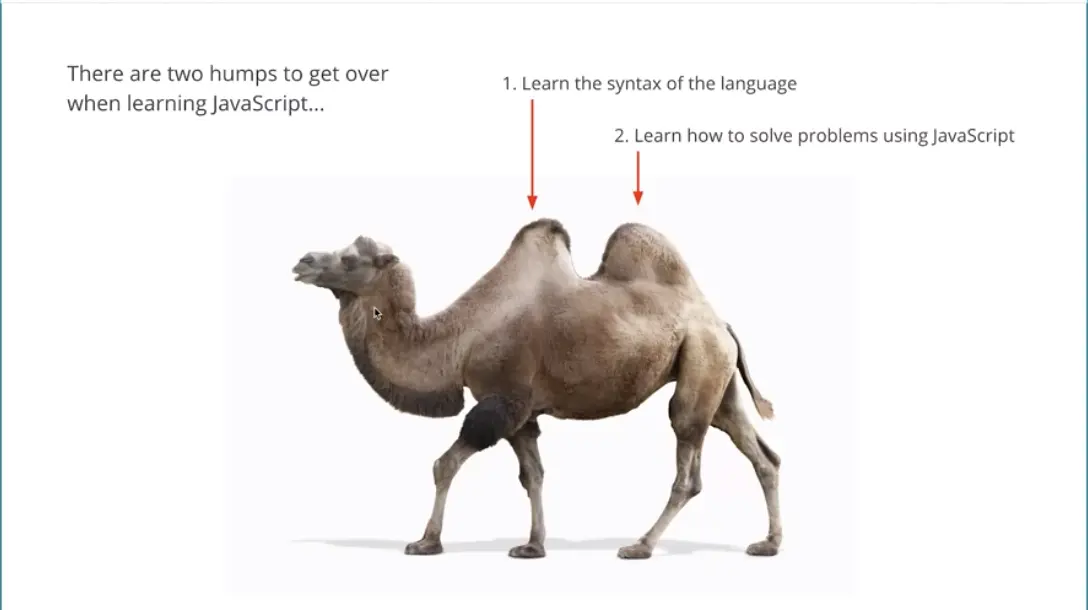 Camel with 2 humps.