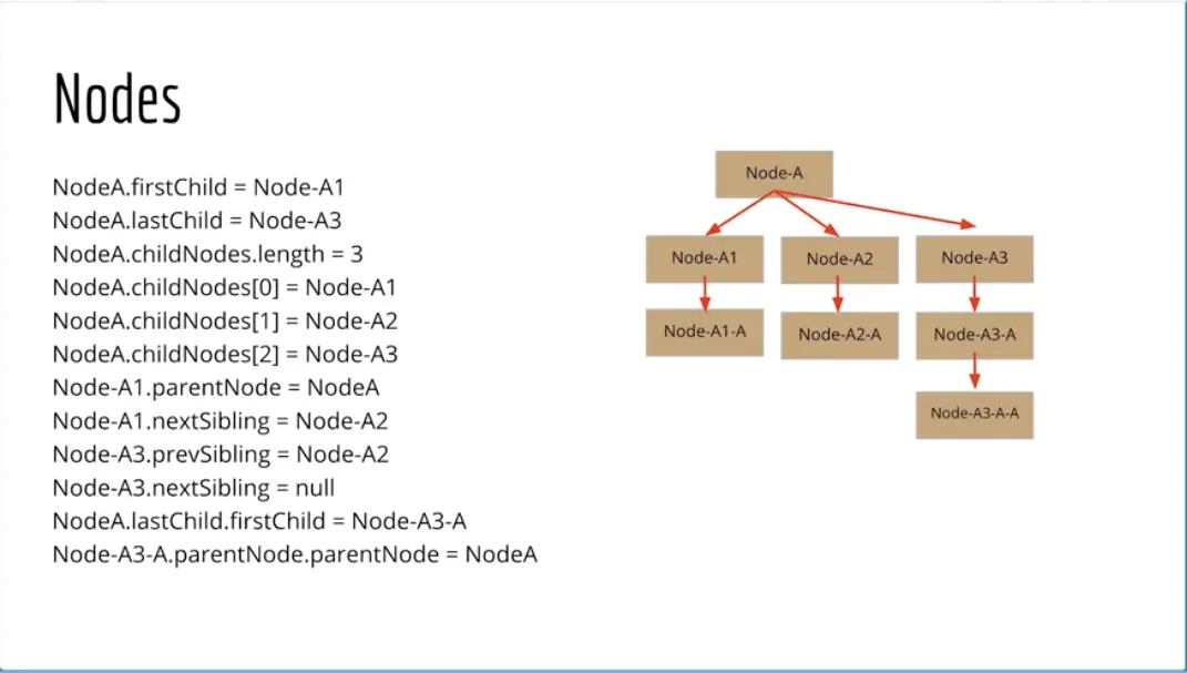 Nodes on a Tree; child and siblings.